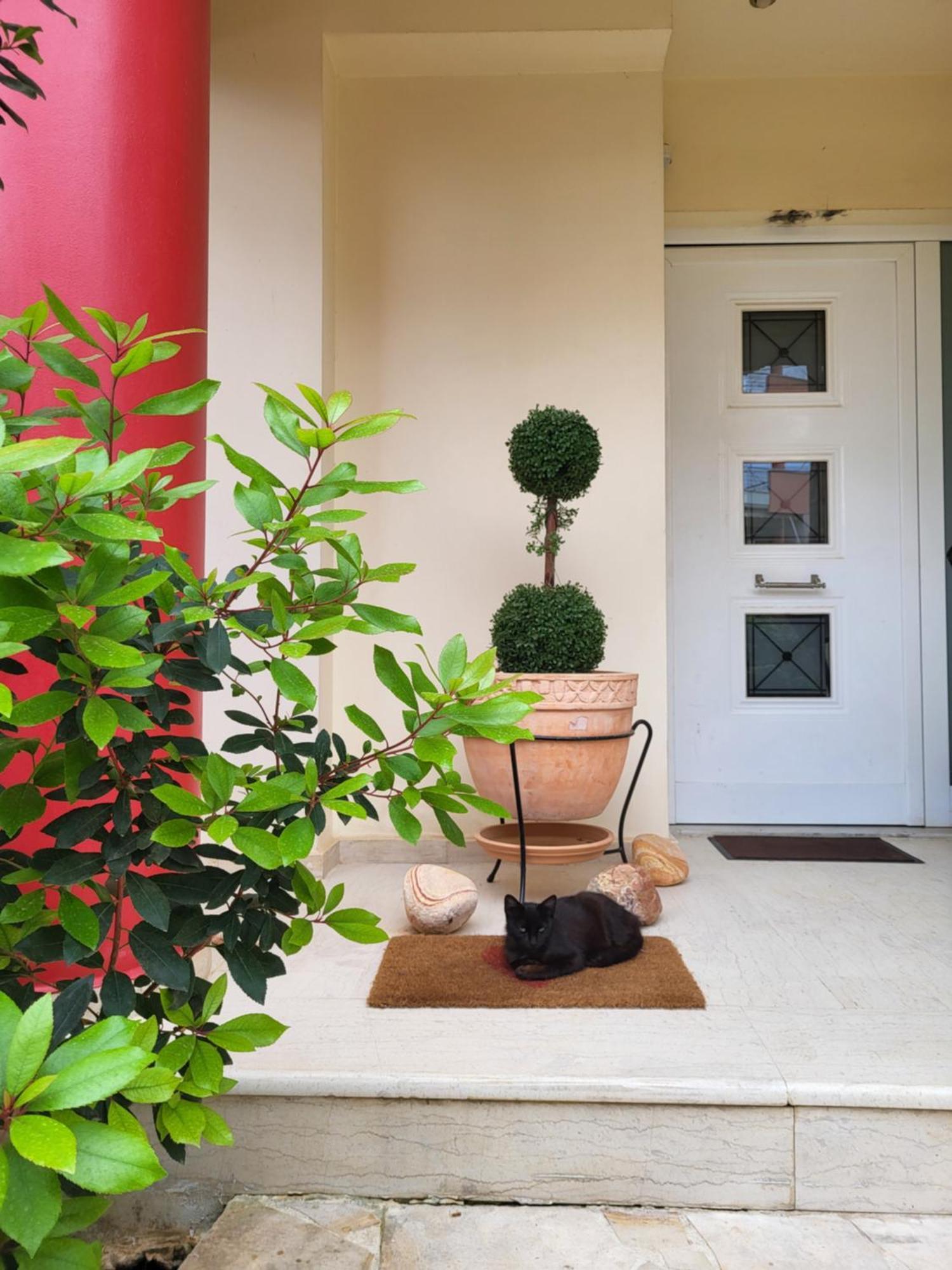 Vivere Terrace Seaside Kalamata Apartment