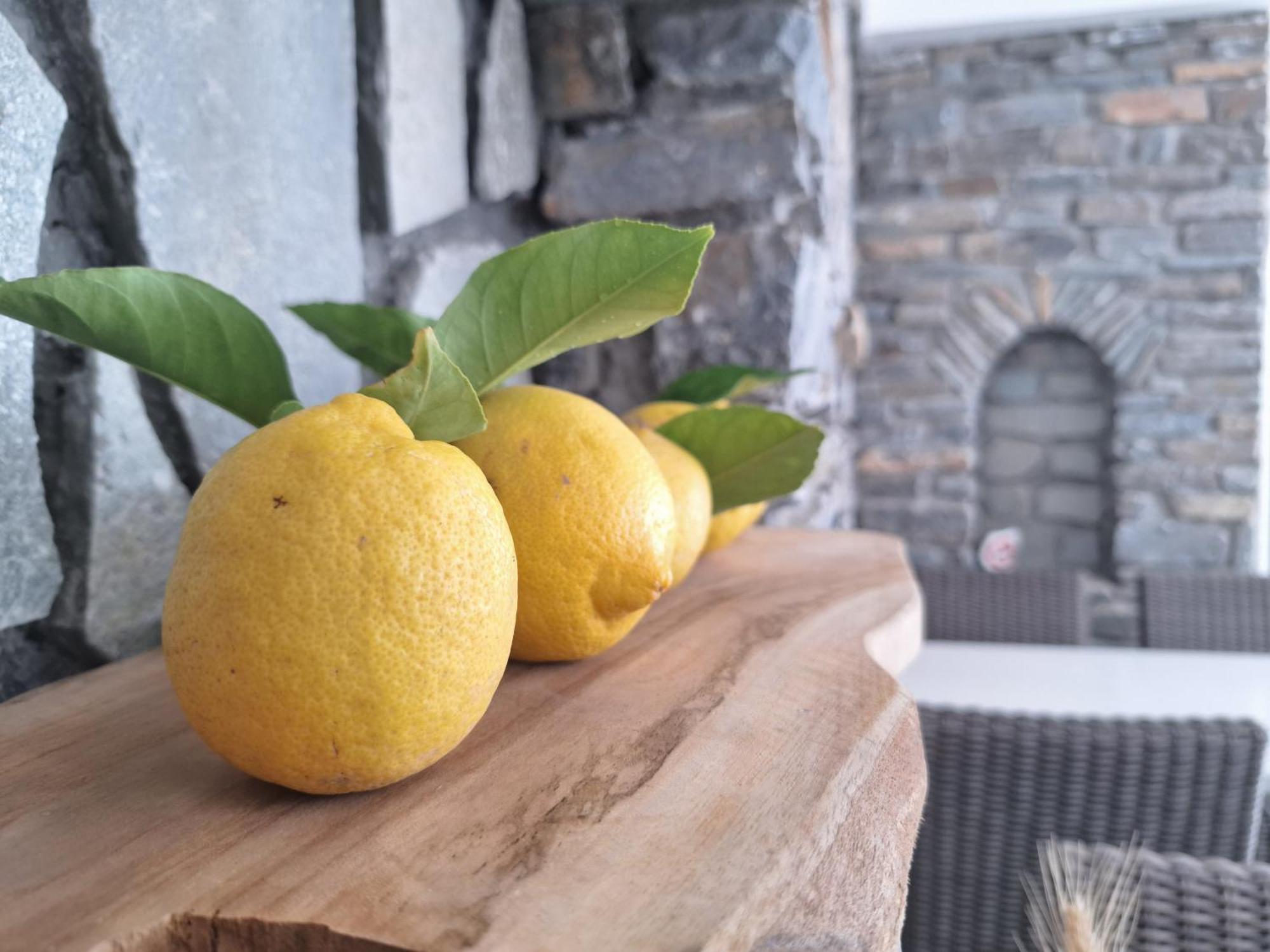εvi Evan Hotel Galissas