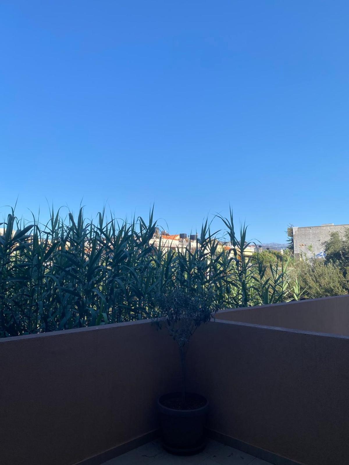 Blue Apartment Analipsi (Crete)