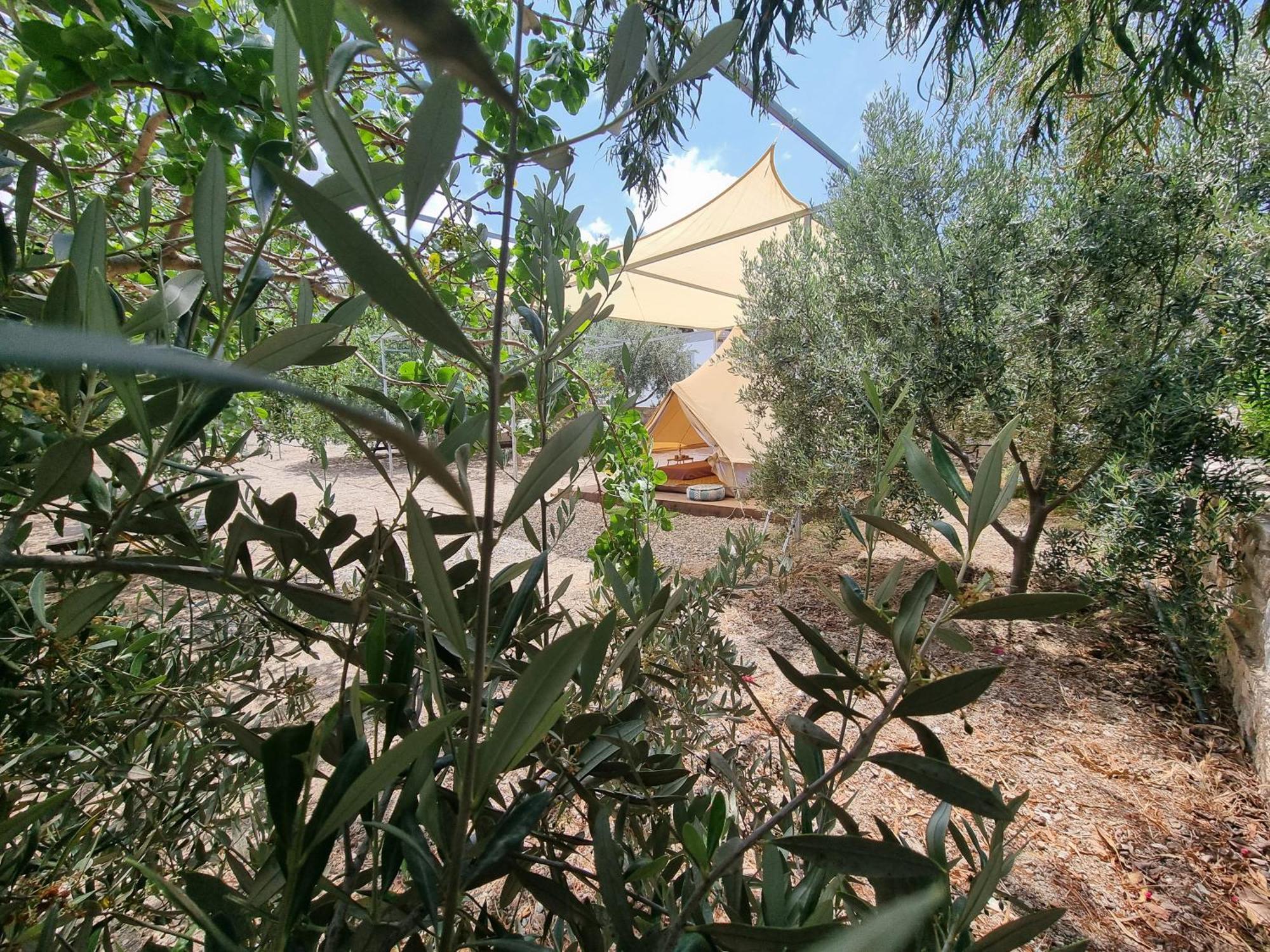 Resort Anassa Cycladic Village