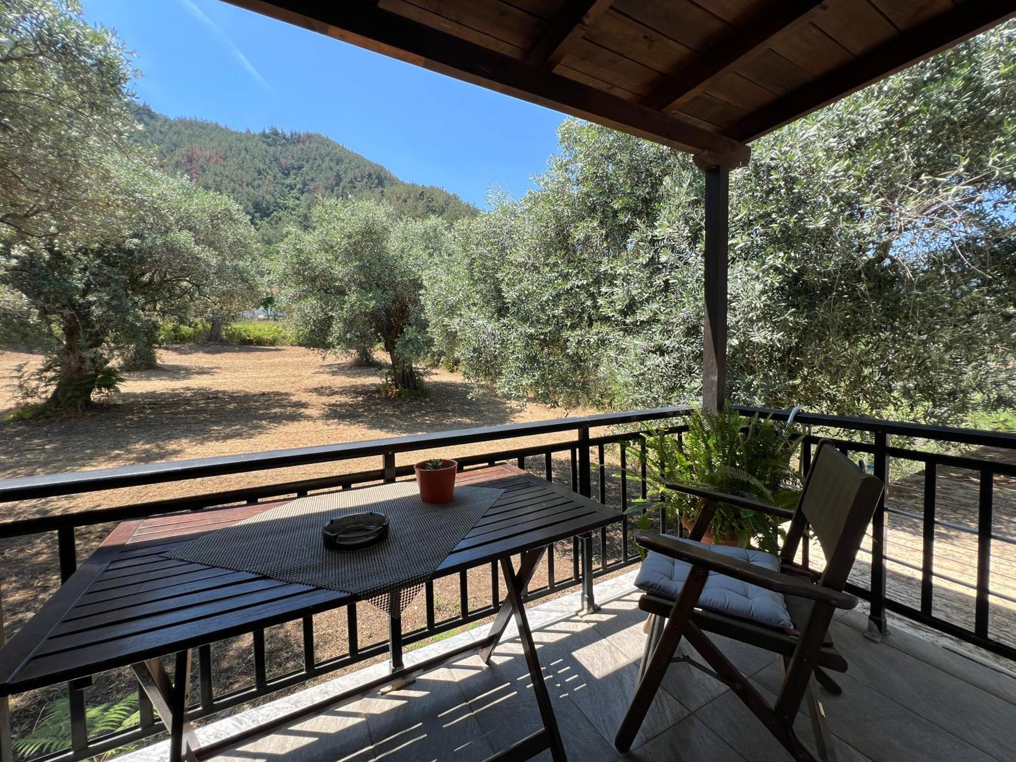Apartment Fedra