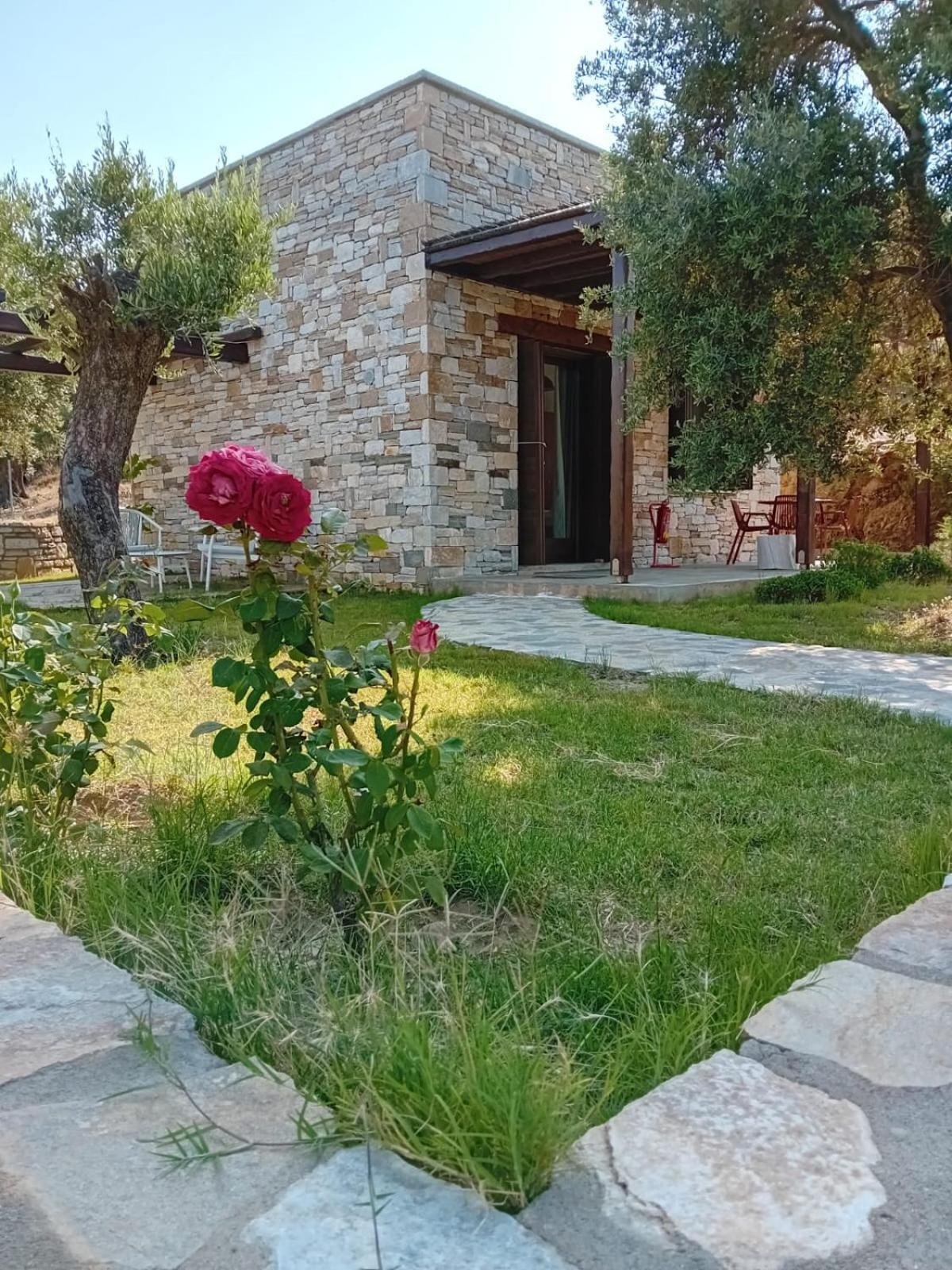 Borgo Thassos