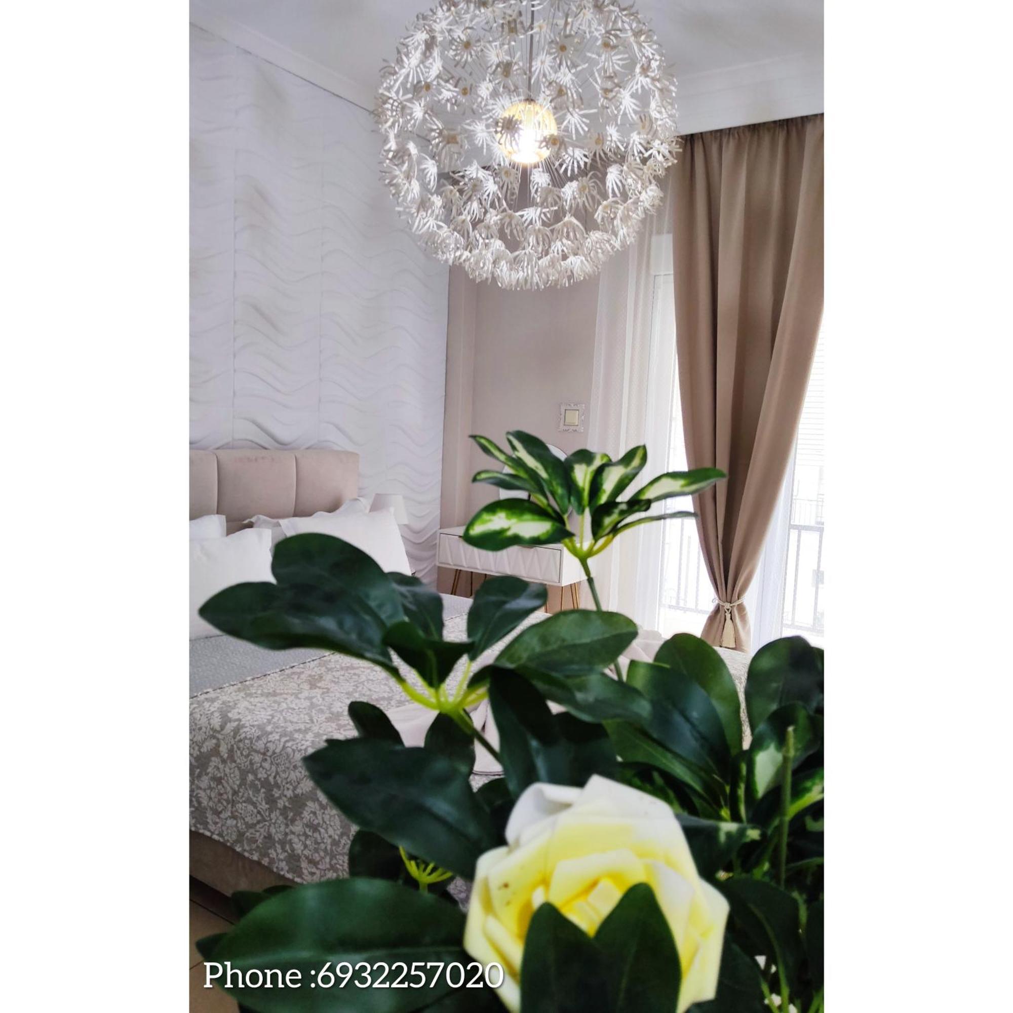 Boutique Lux *