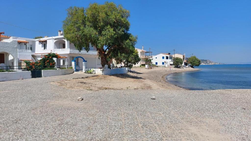 Fotis At Komi Holiday home *