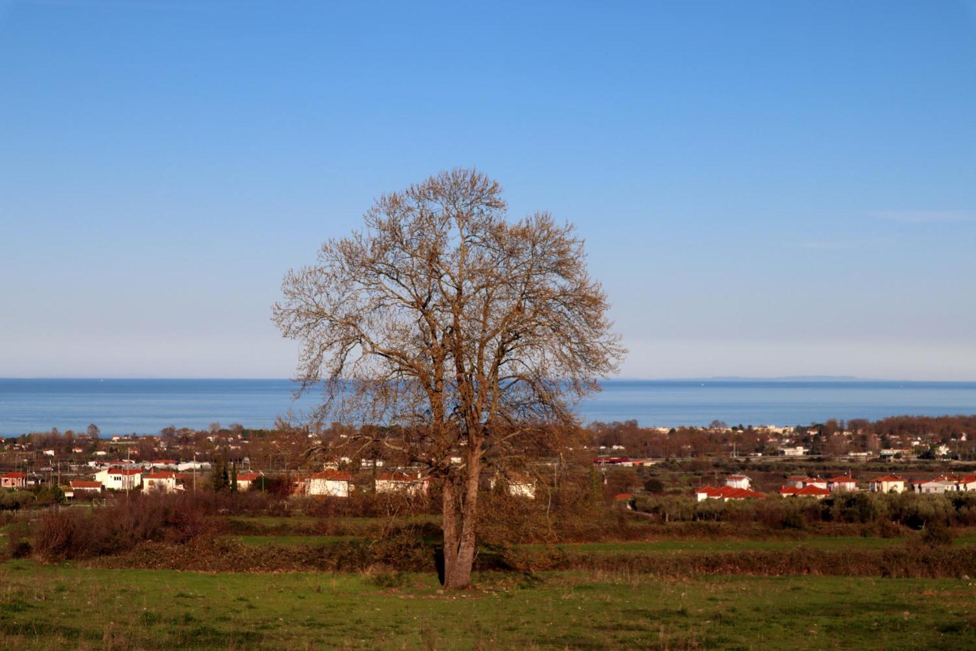 Elioj House Villa Leptokarya (Pieria)