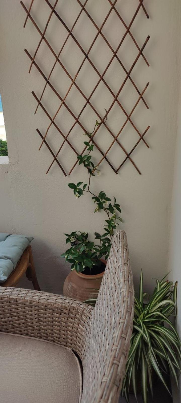 Frezia House