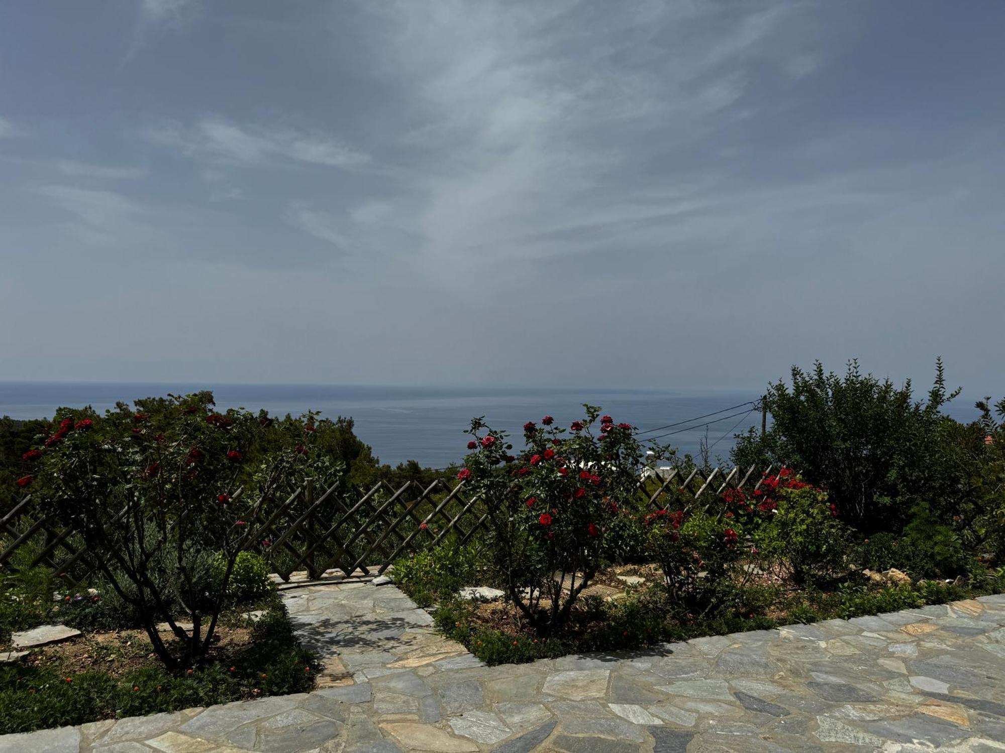 Apartment Irene Raches (Ikaria)