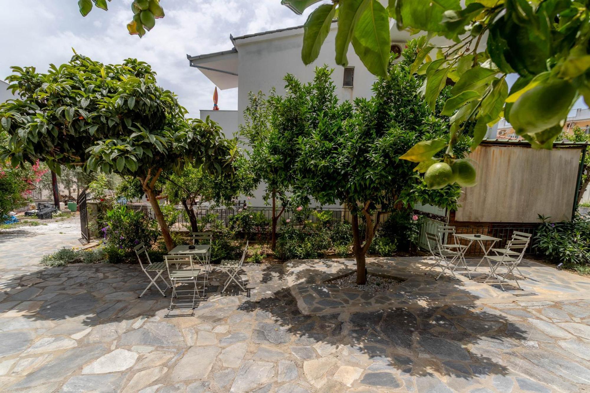 Apartment Pteleo