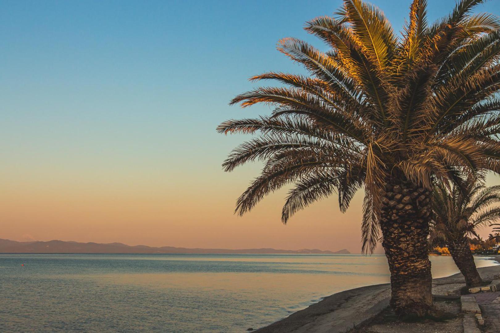 Mainavenue Palm Seaside * Polychrono