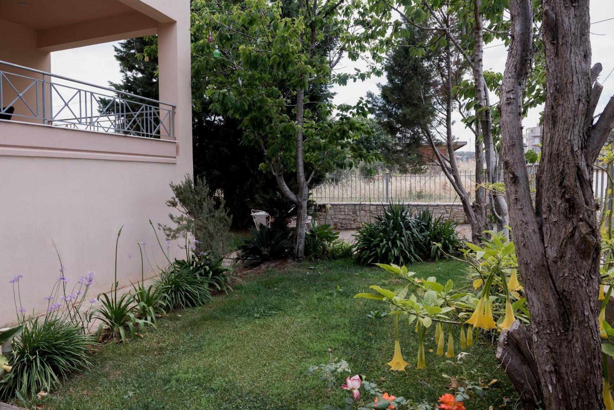 Villa Discover Evia