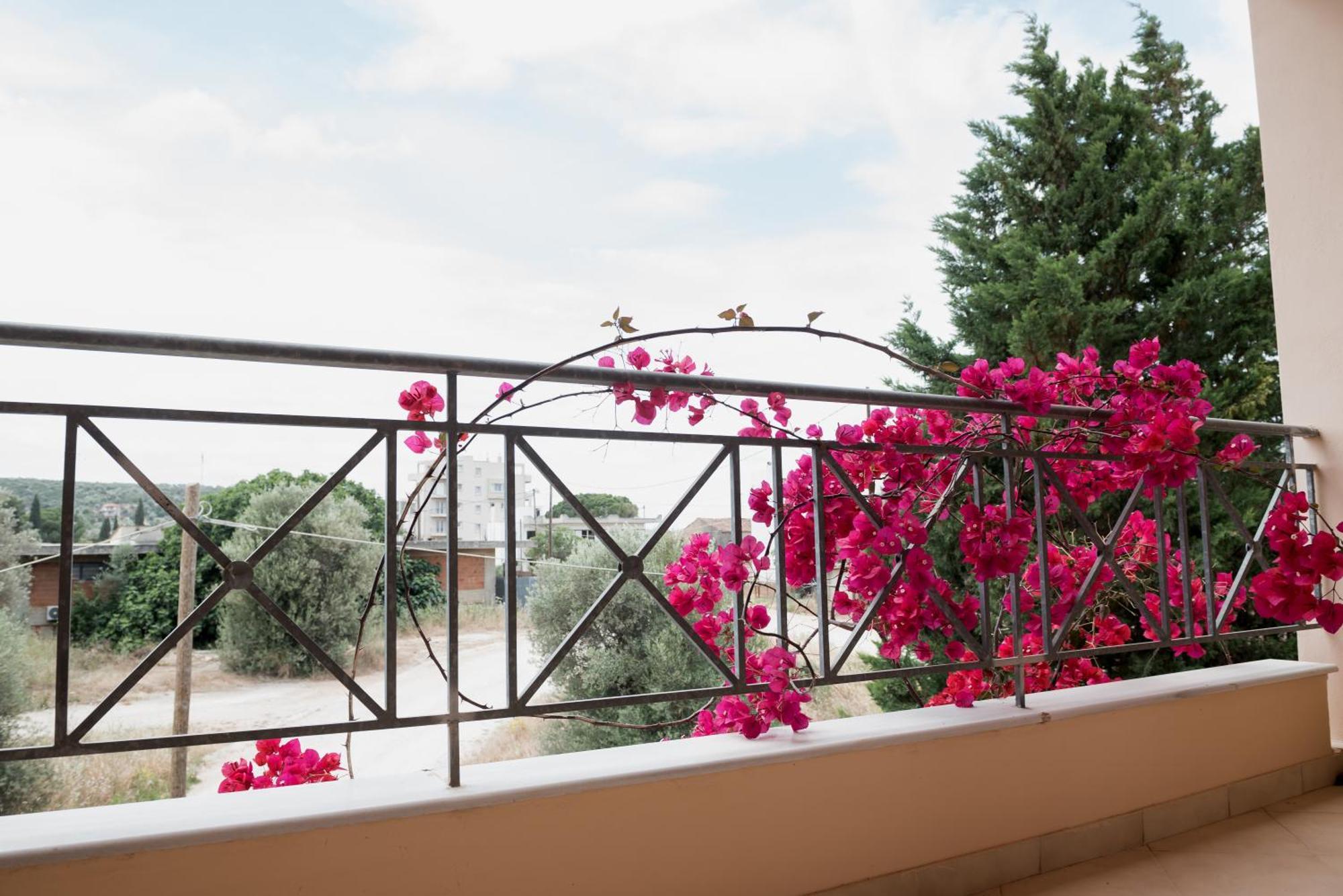 Discover Evia