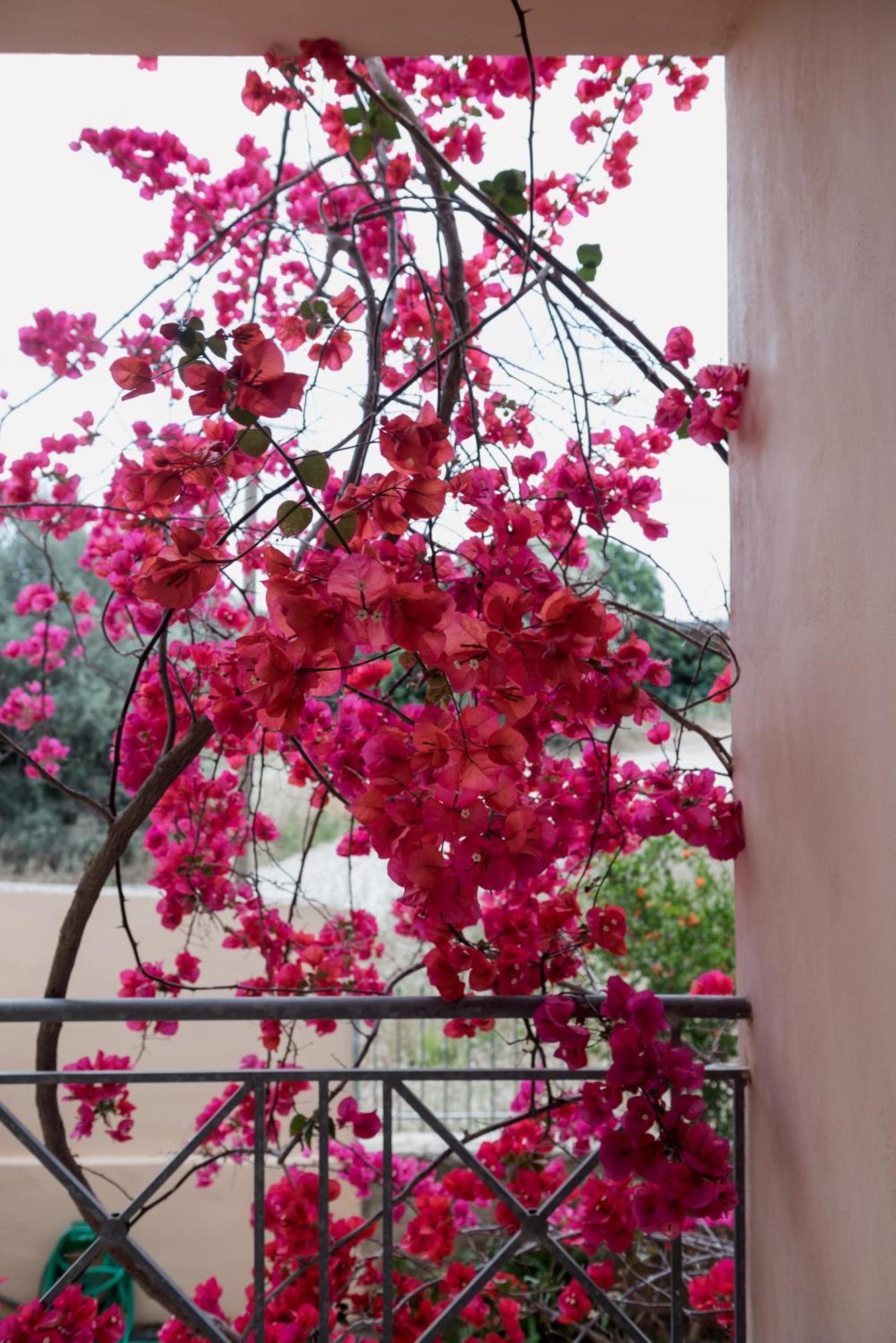 Villa Discover Evia