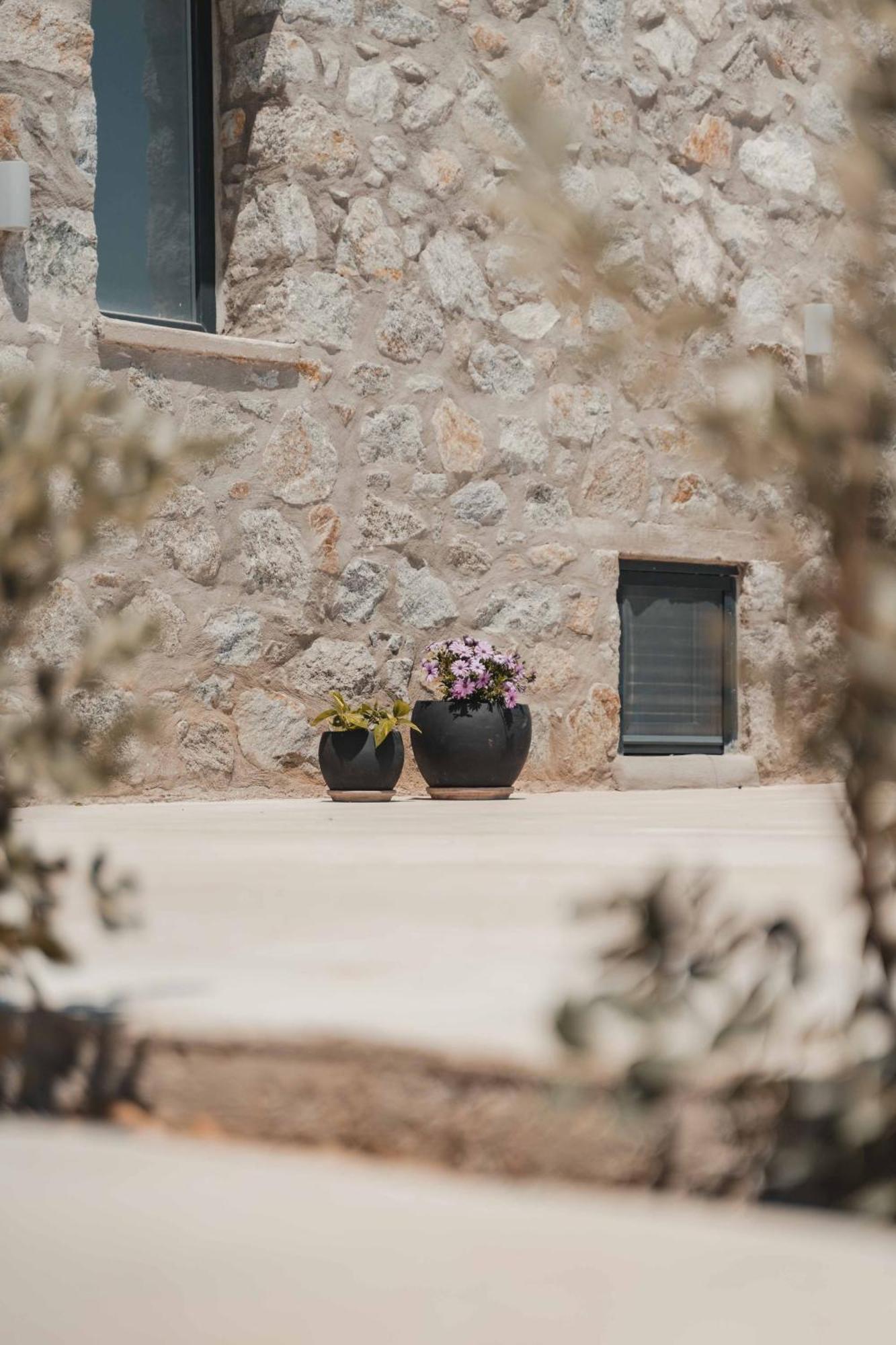 Naxos Privilege *