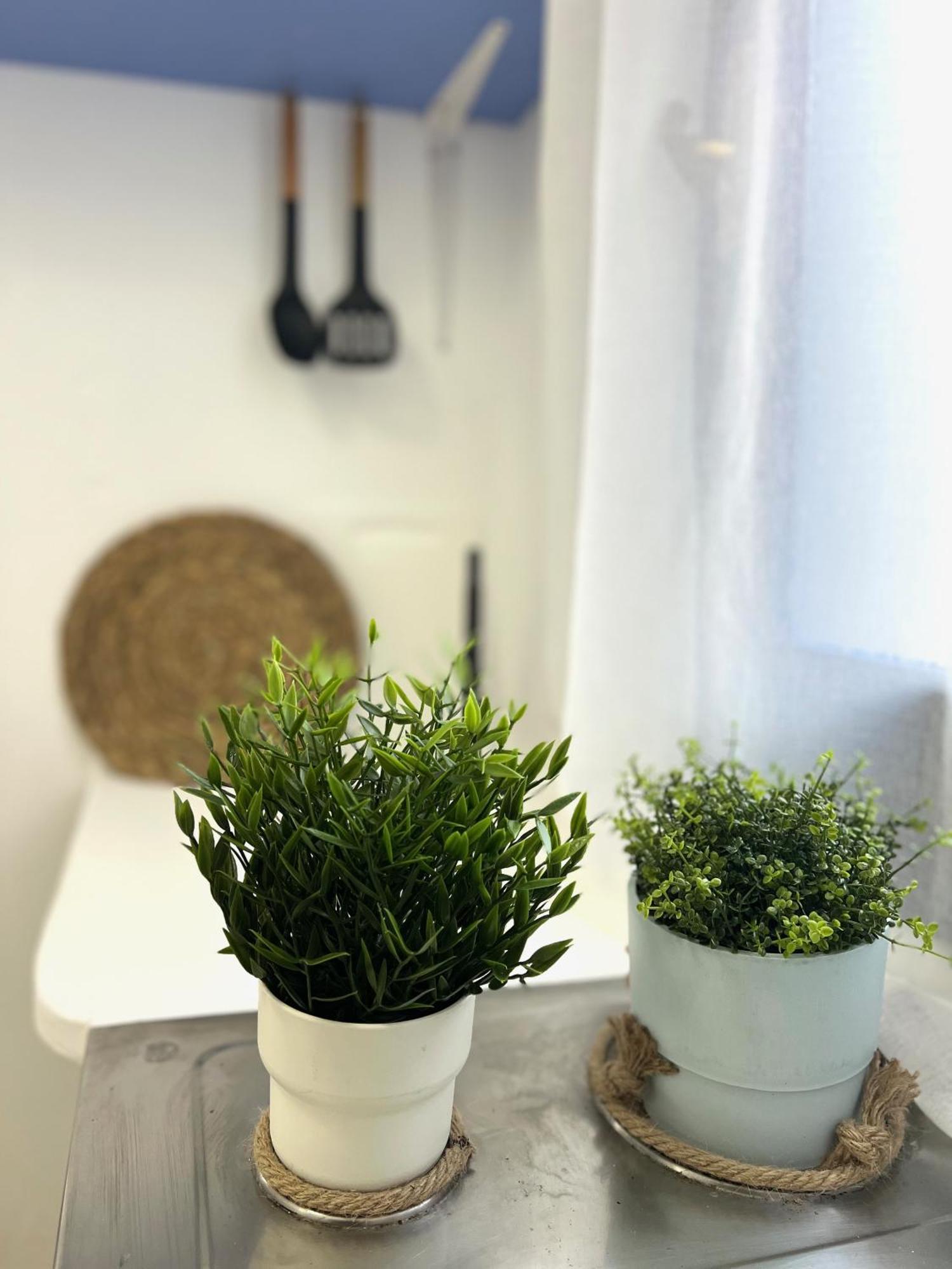 Papadakis Villas Apartments - Hersonisoss Apartment *