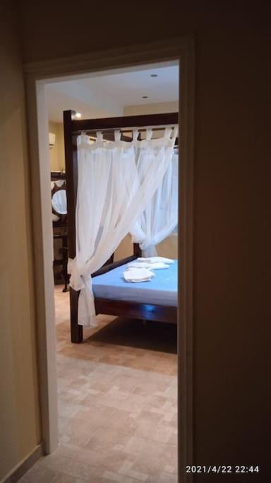 Aspalathus Gold Skopelos Town
