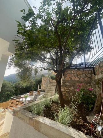 Lemon Tree House Apartment