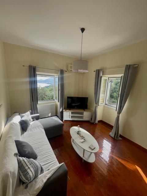 Apartment Lemon Tree House
