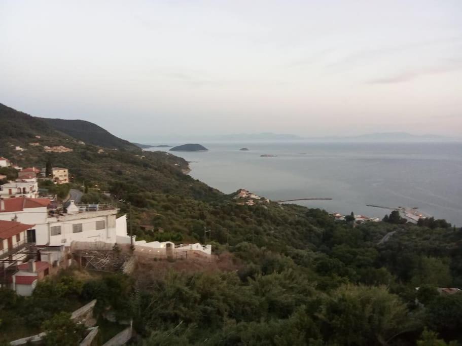 Aegean Horizon - Margarita's
