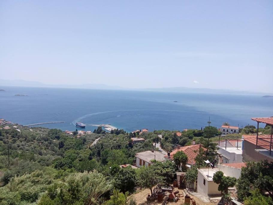 Aegean Horizon - Margarita's *