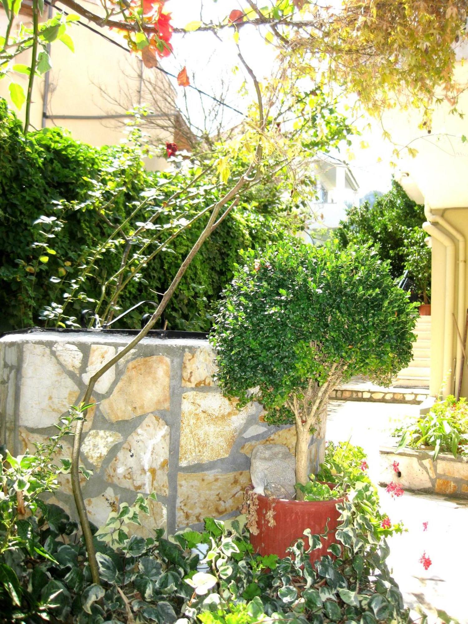 Apartment Danae