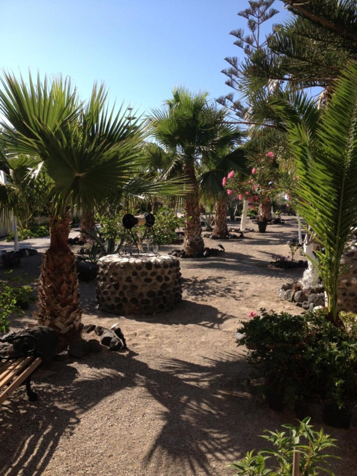 Santa Elena 3* Kamari (Santorini)