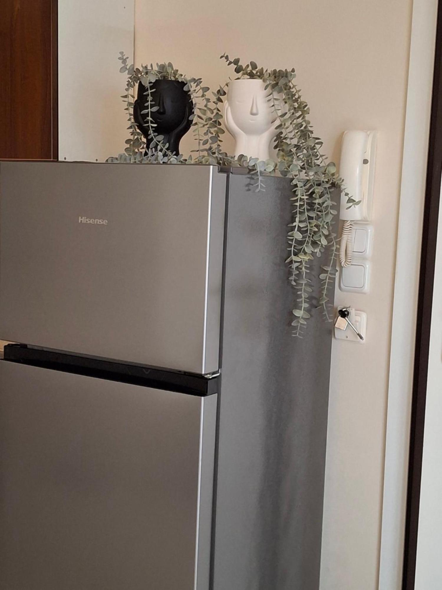 Anastasia's 2 Apartment Nea Peramos (Macedonia)