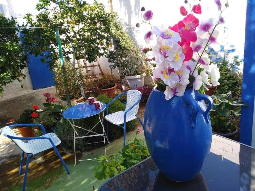 4 Seasons Suites Paradise Near Athens Airport Apartment Markopoulo Mesogaias
