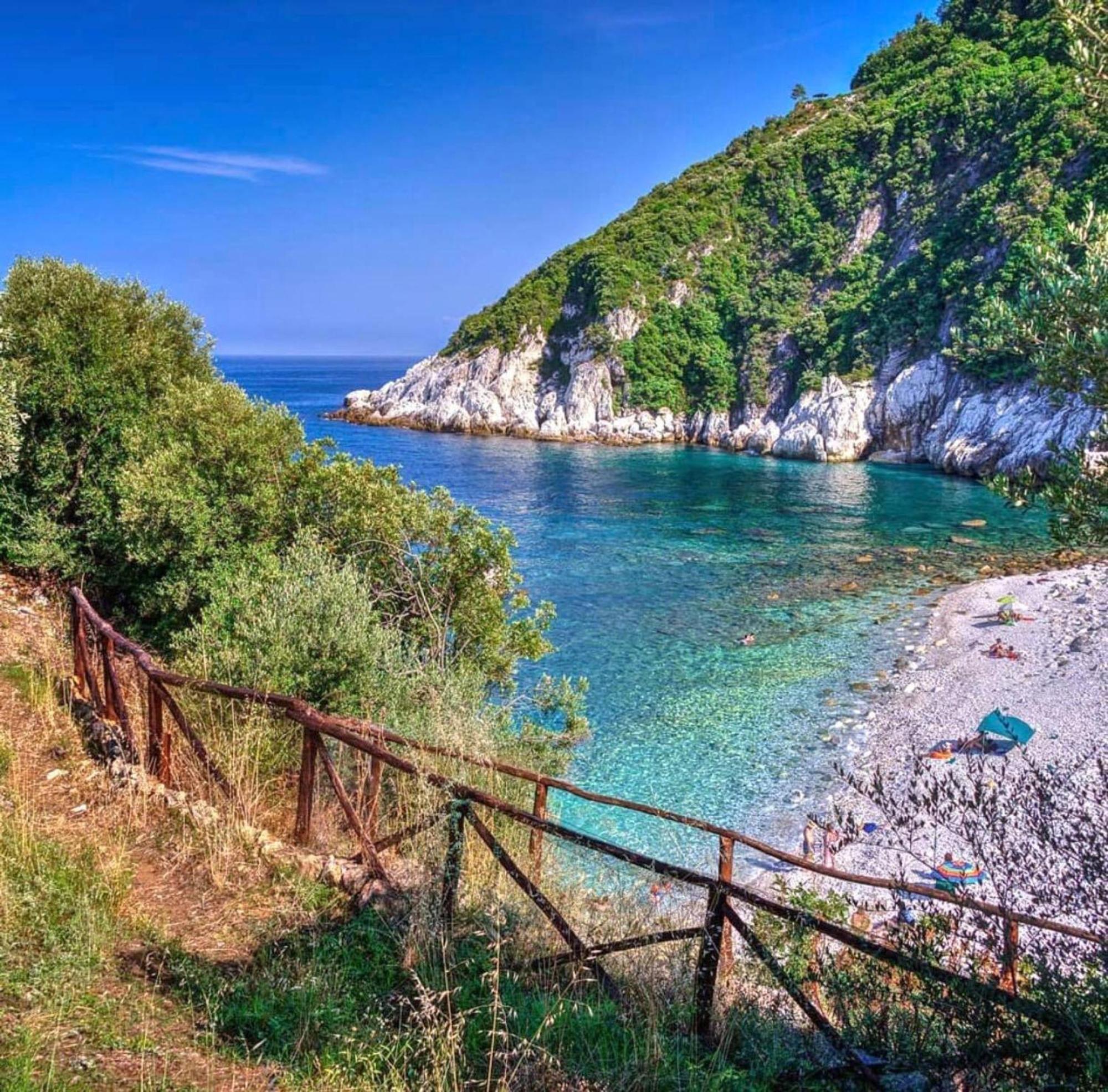 Zina Agios Dimitrios * Agios Dimitrios (Magnesia)