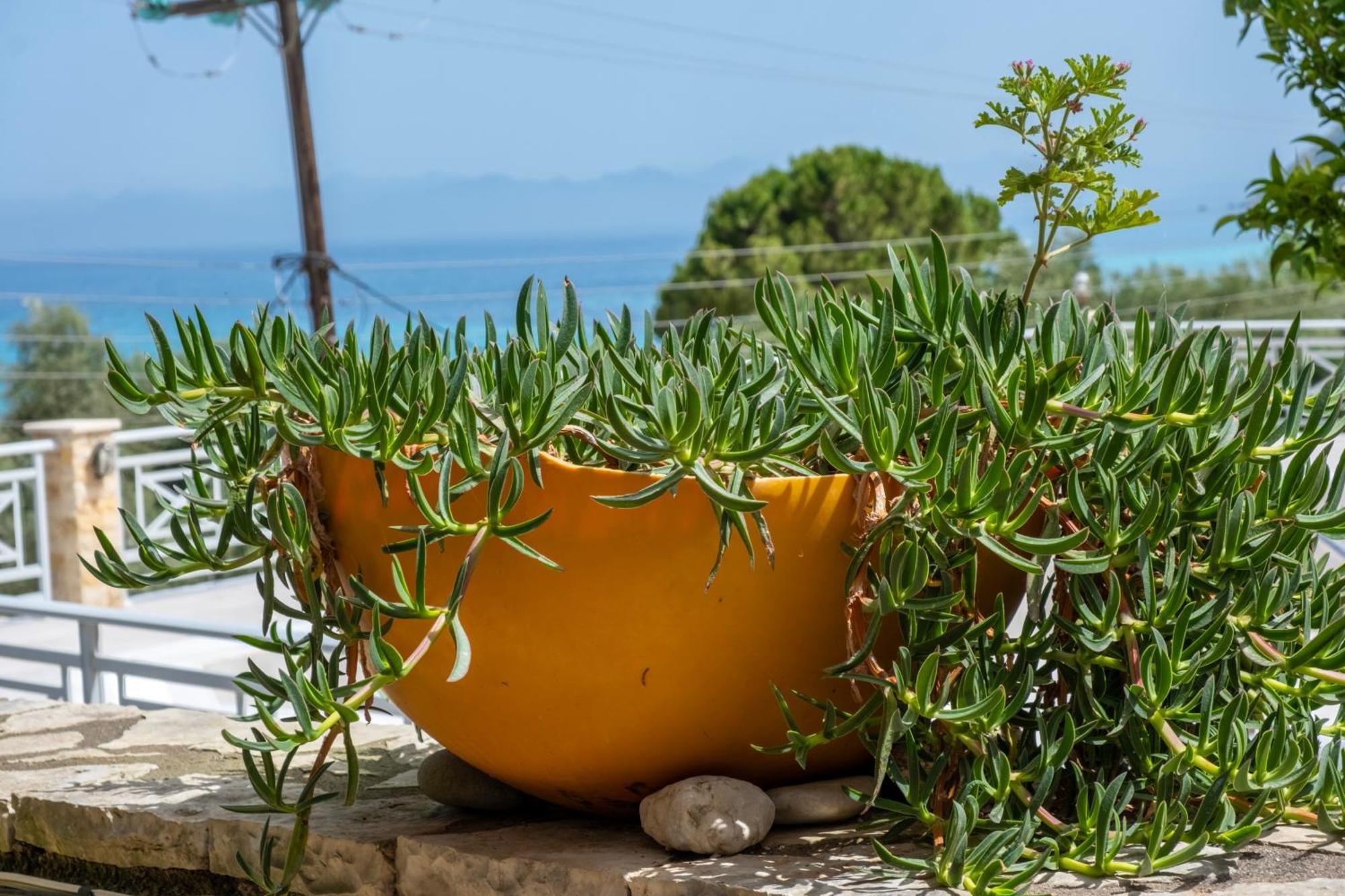 Theasea House Apartment Agios Nikitas