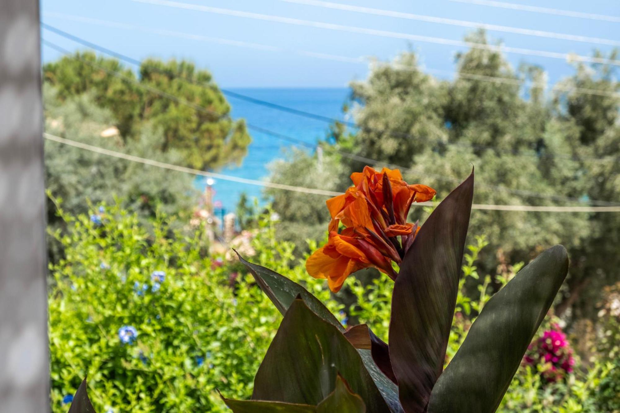 Apartment Theasea House Agios Nikitas