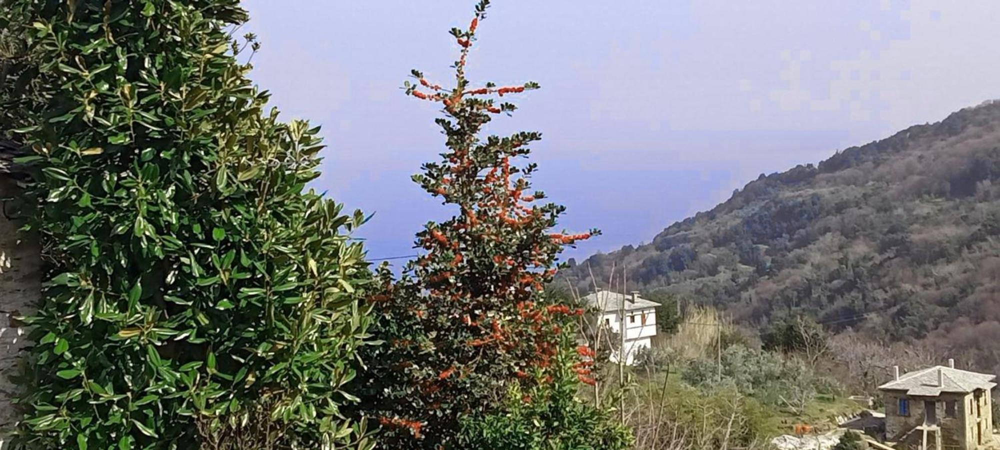 Holiday home Anastasia's In Pelion
