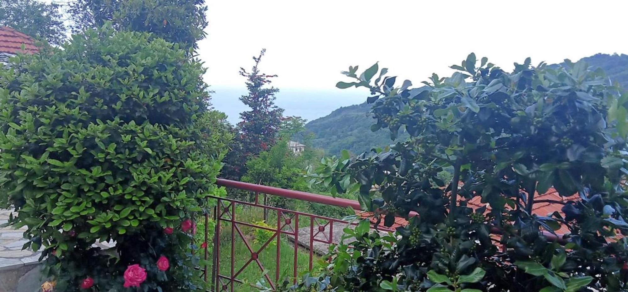Anastasia's In Pelion