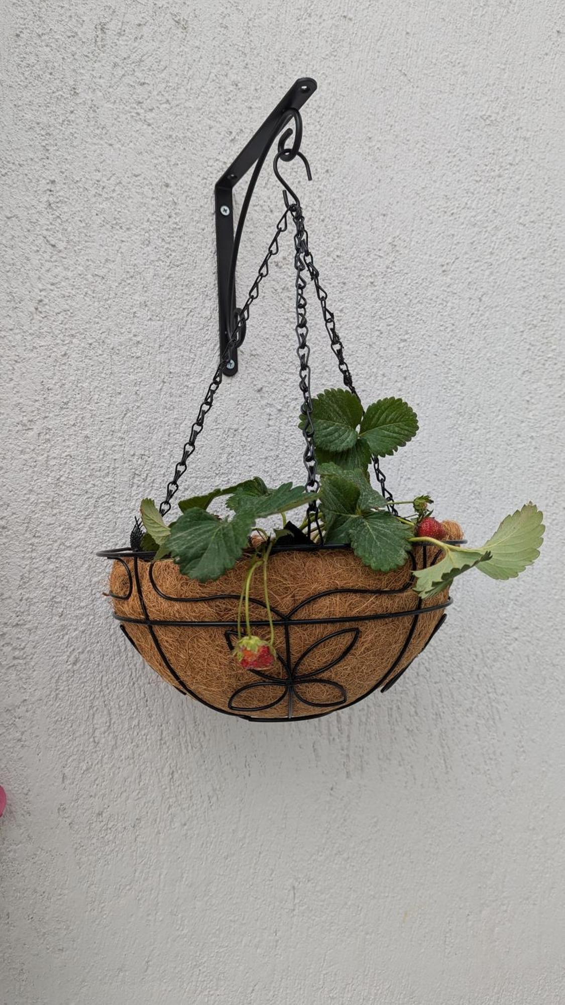 Guest house The Botanist Skopelos Town