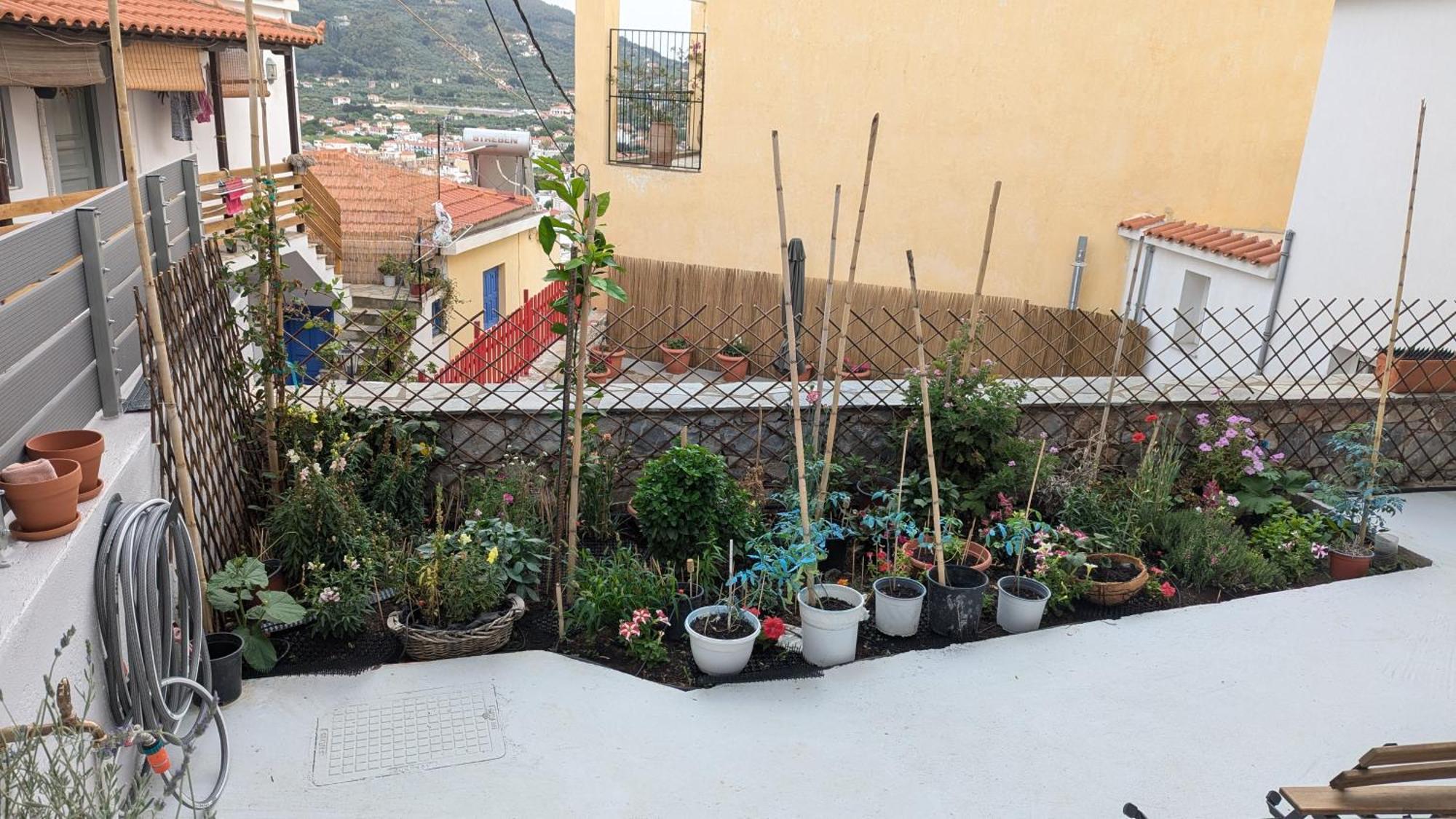 The Botanist Guest house Skopelos Town