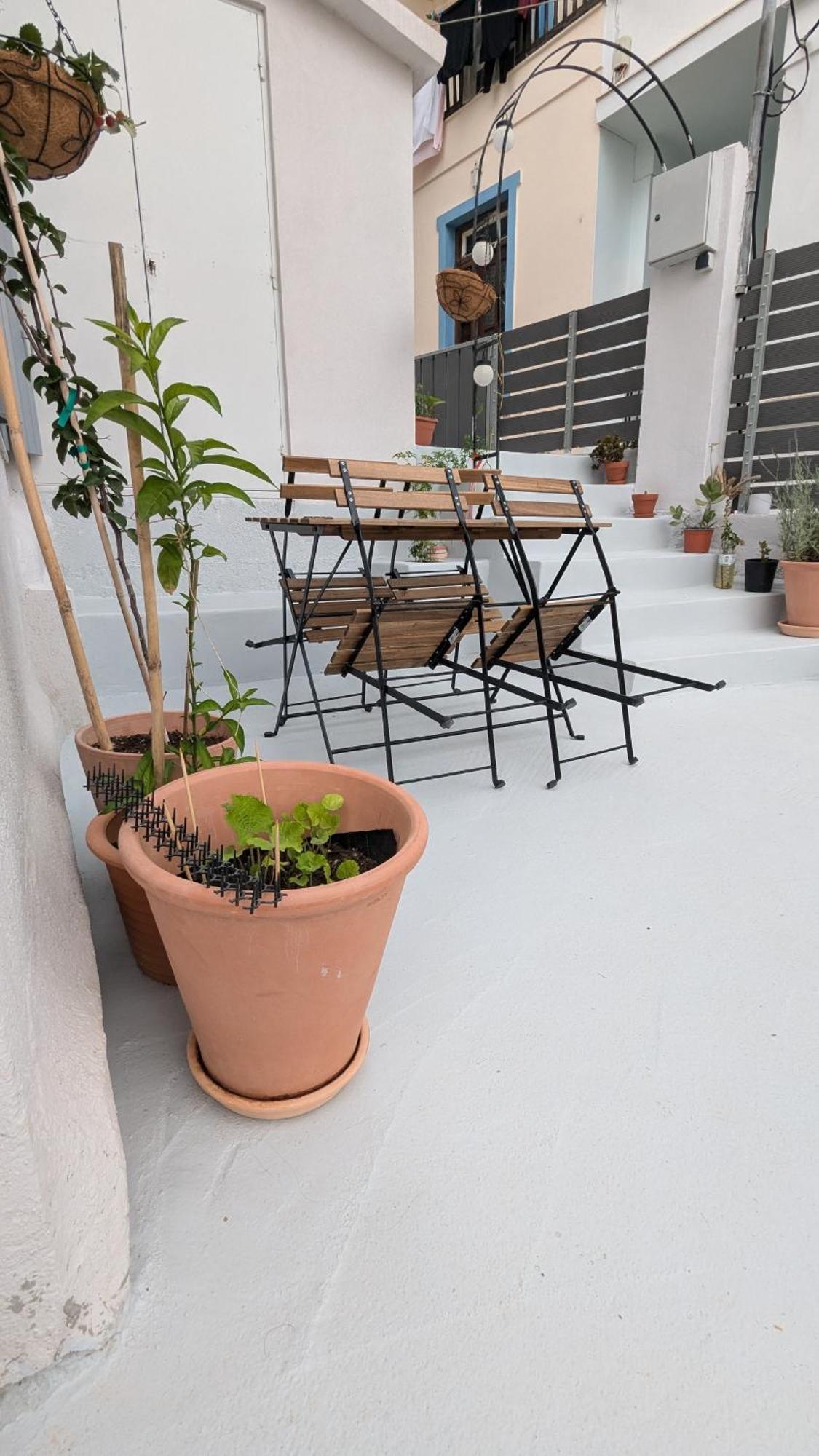 The Botanist Guest house
