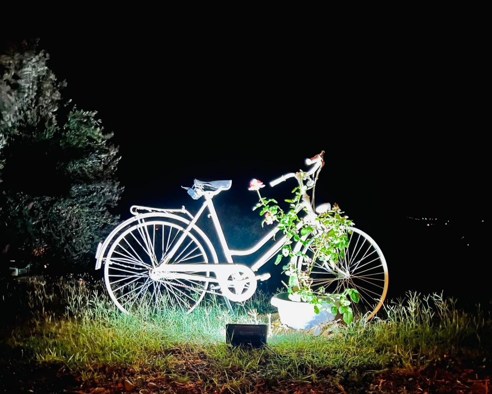 Country house Enada & Olive Farm Gythio