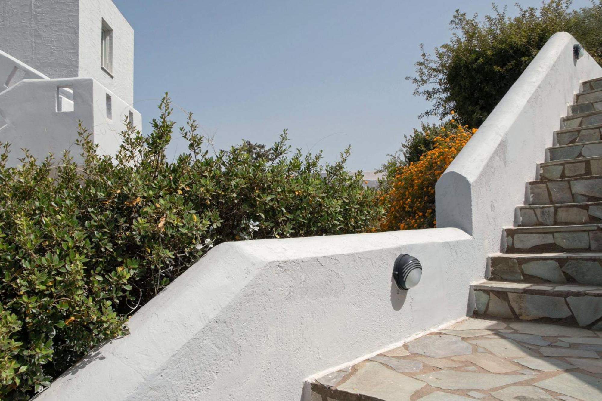 Thalia Bloom Agia Pelagia (Crete)