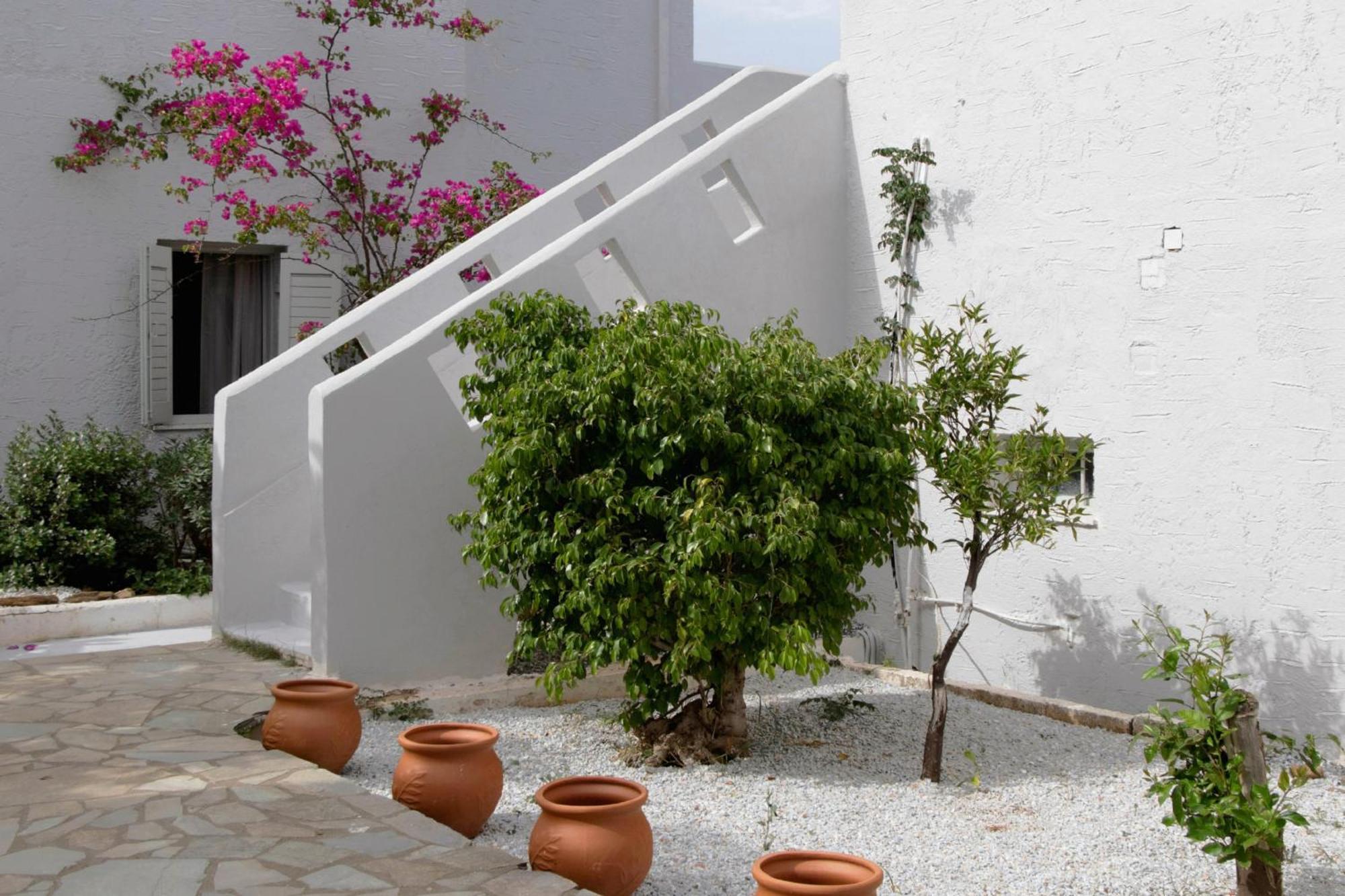 Thalia Bloom * Agia Pelagia (Crete)