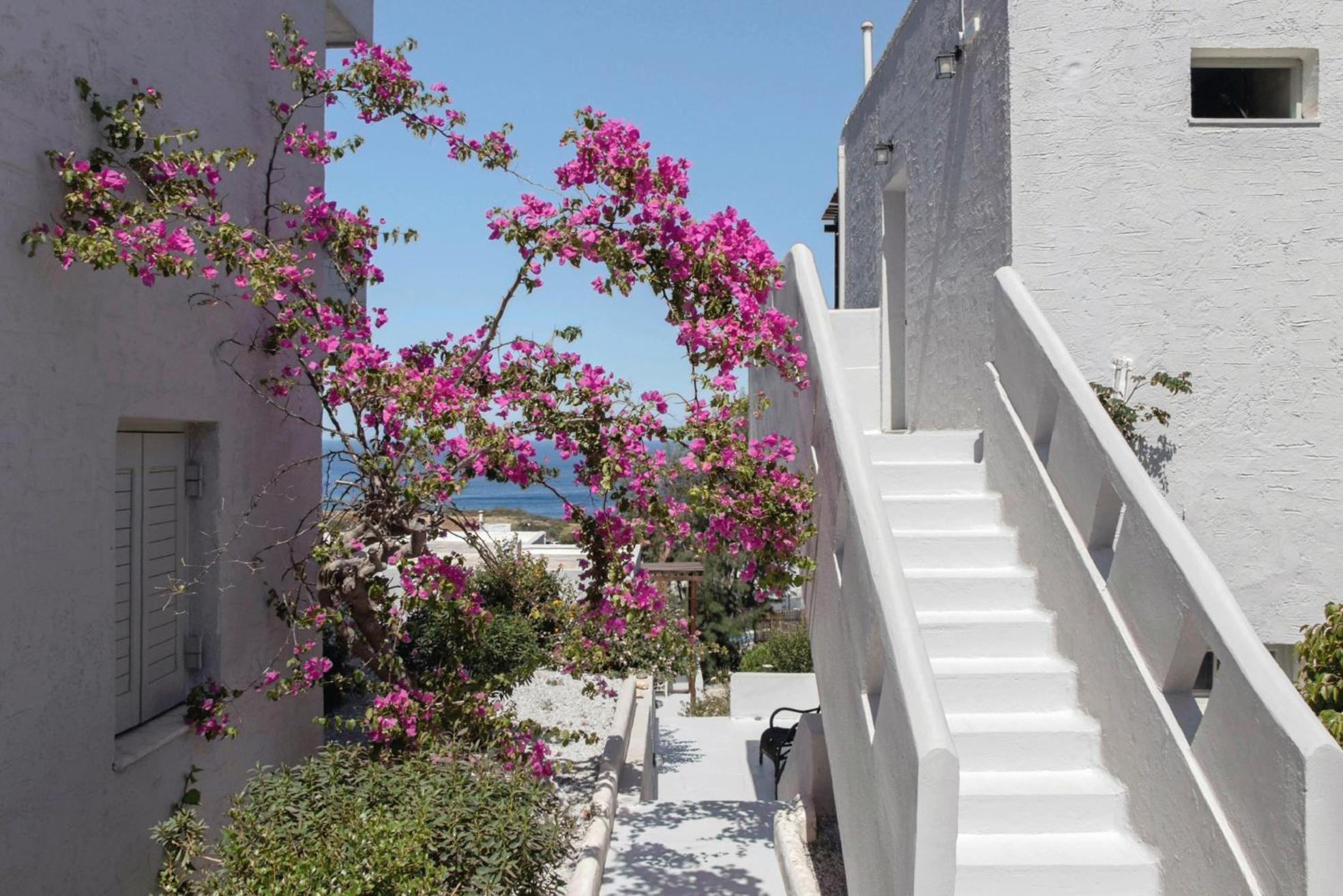 Thalia Bloom * Agia Pelagia (Crete)