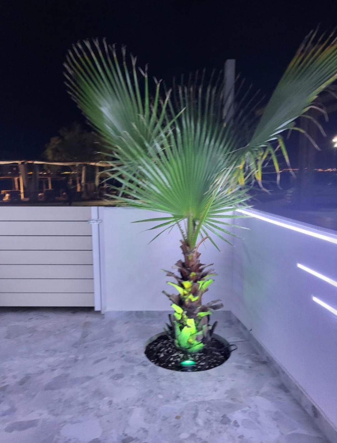Sun Sea No 7 First Line Apartment Peraia (Thessaloniki)