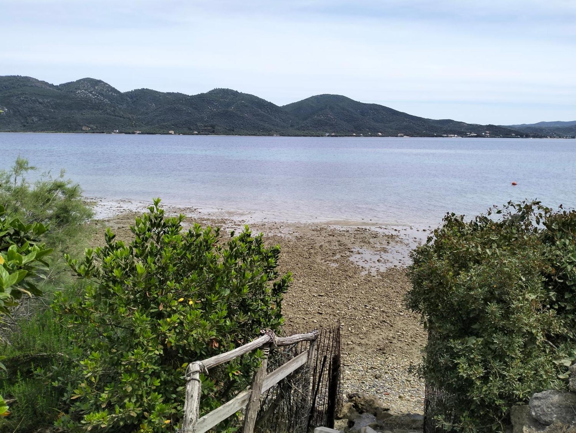 Greeksummer Edipsos
