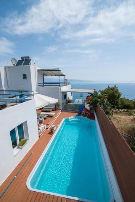 White-blue Luxury 1 *