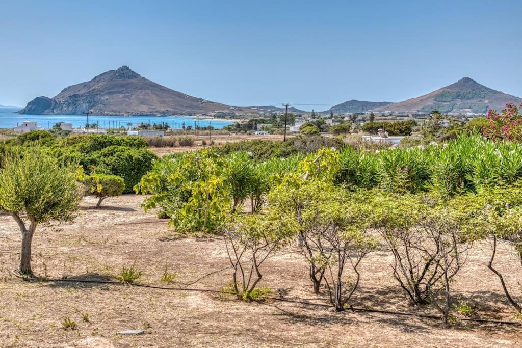 Holiday home Anna With Seaview Of Naxos *