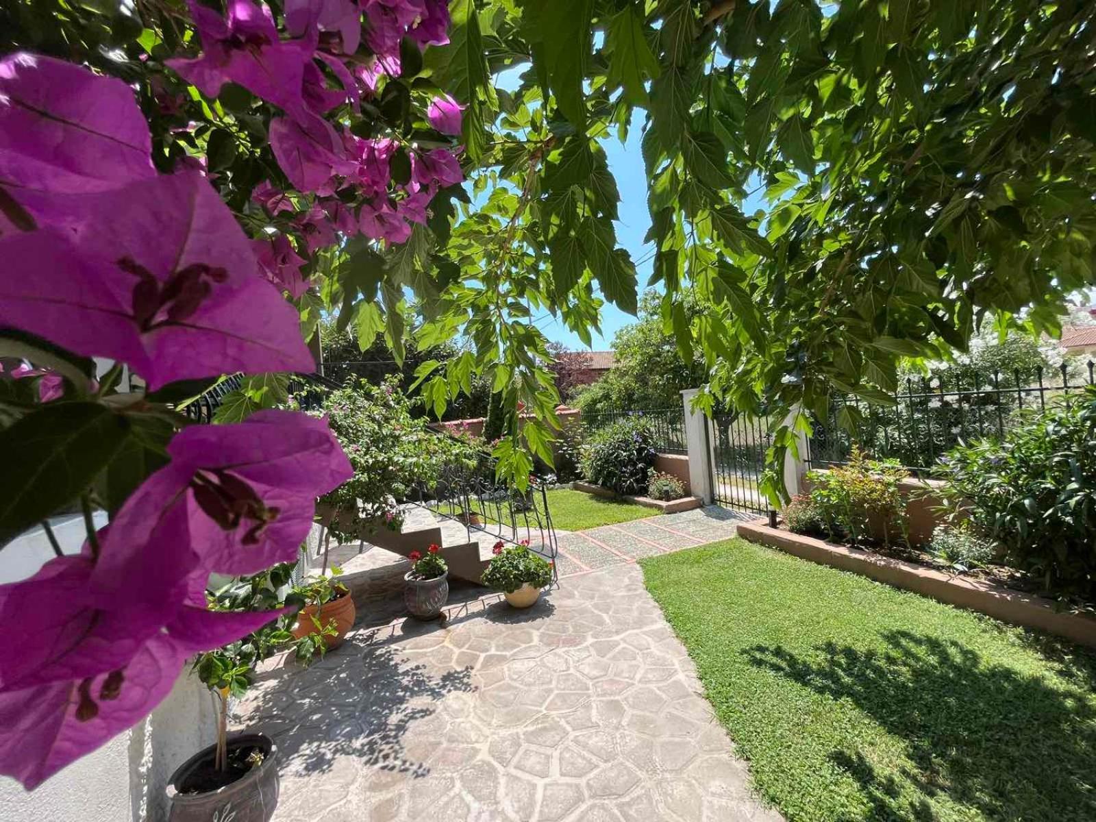 Holiday home Alexander *