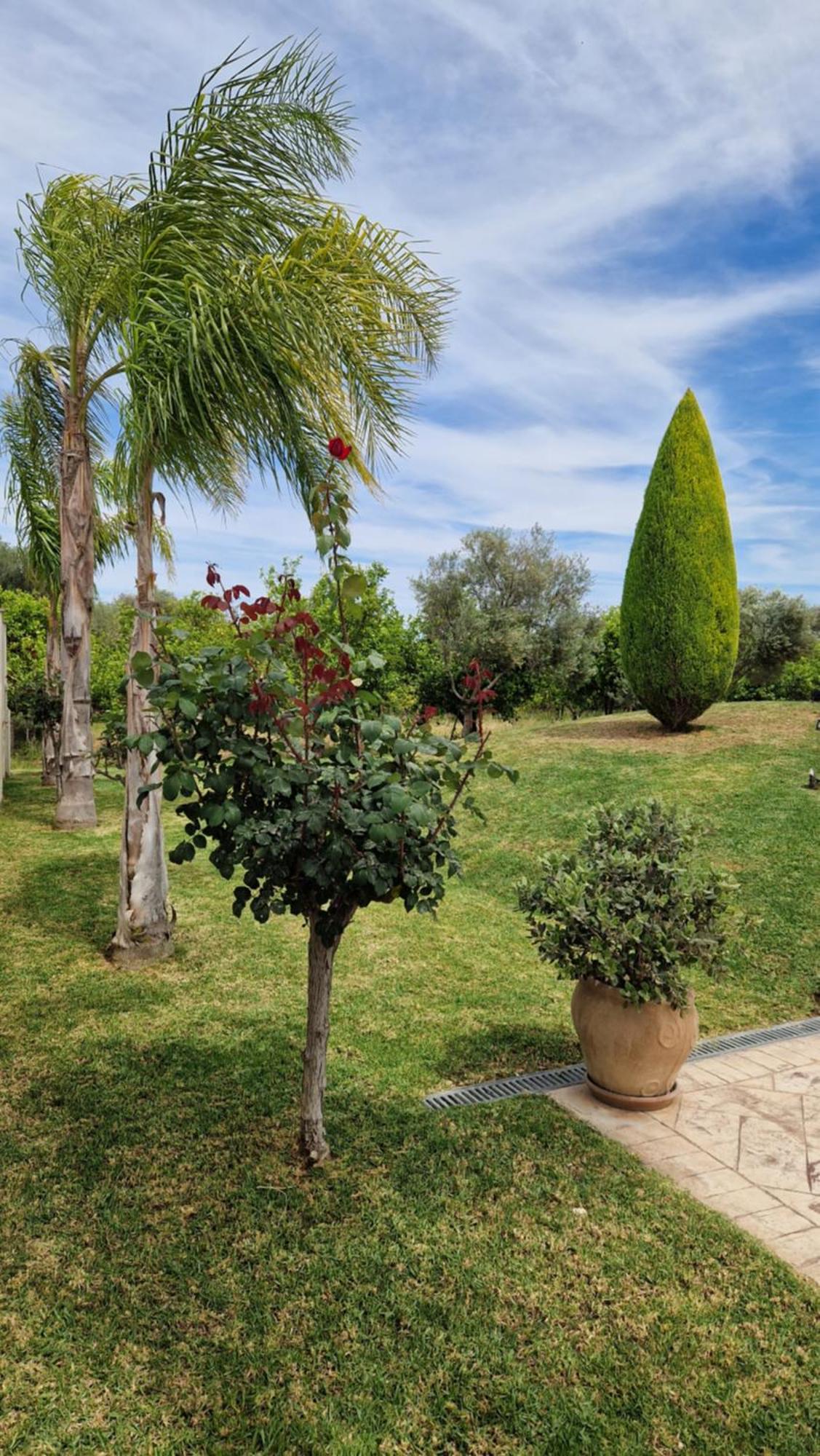 Dimitris Holiday home *
