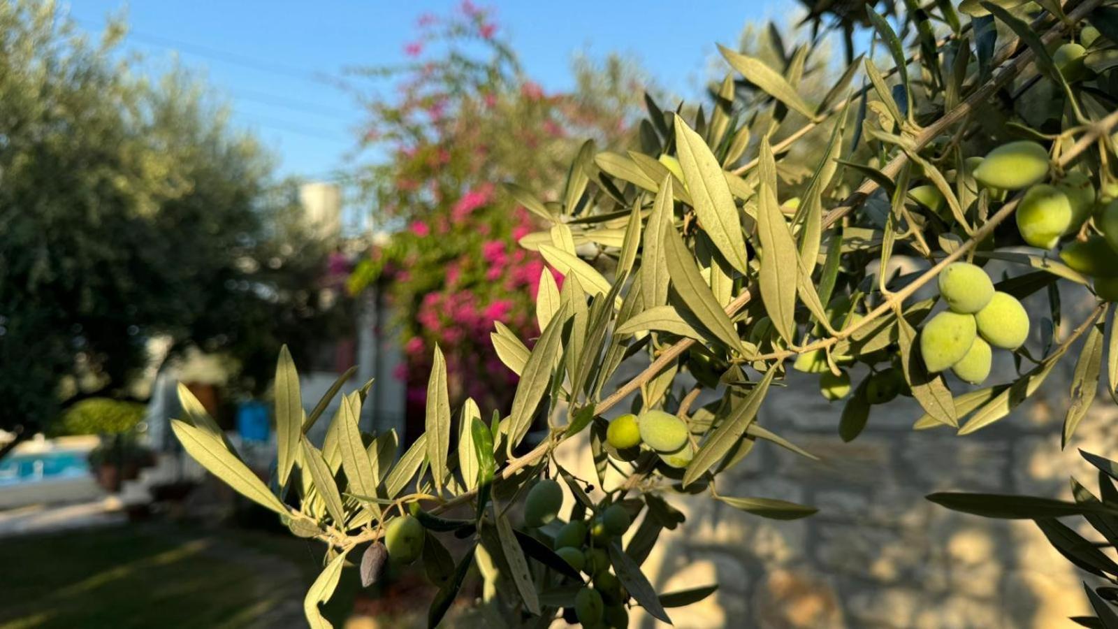 Lily's Holiday home Platanes (Rethymno)