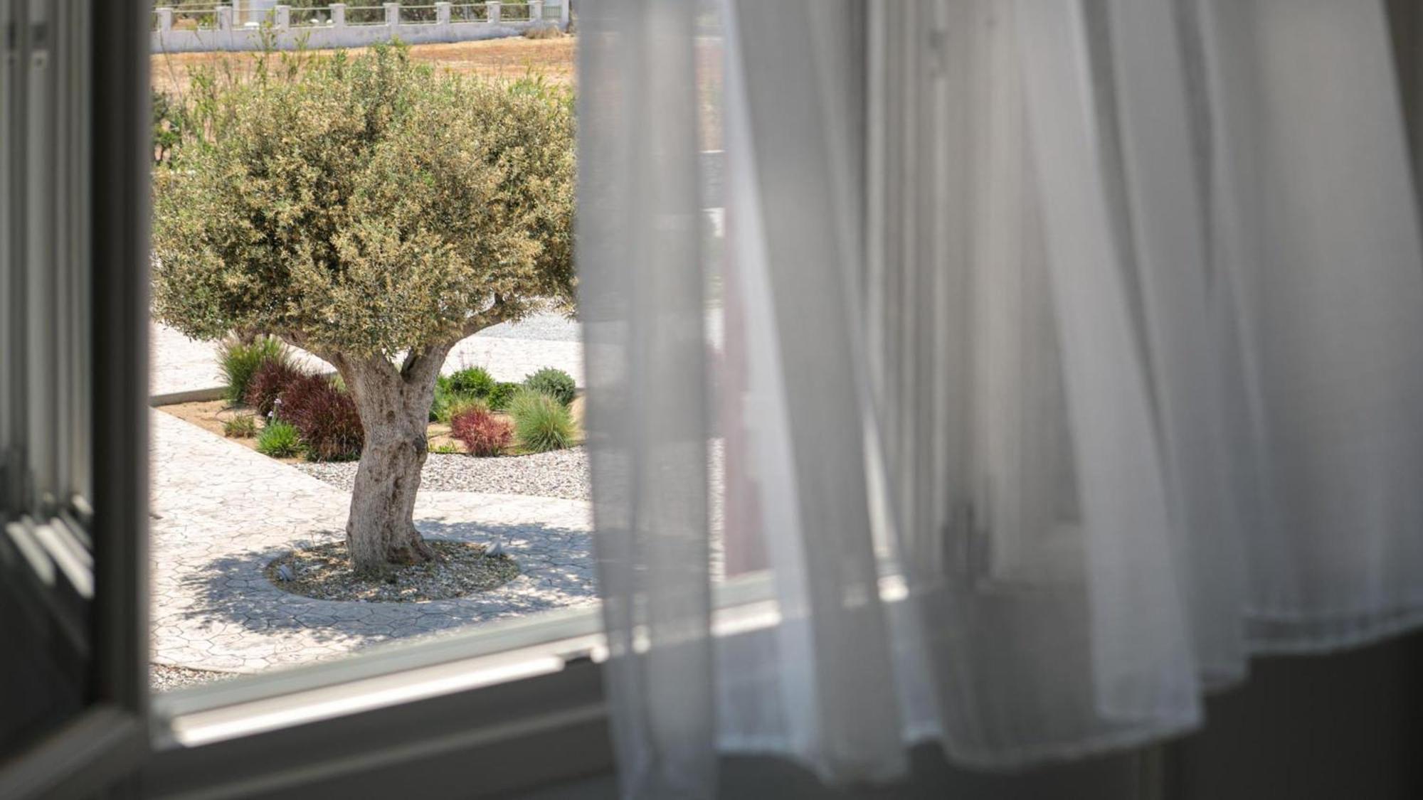 Villa Olives Rocks Naxian Agia Anna (Naxos)
