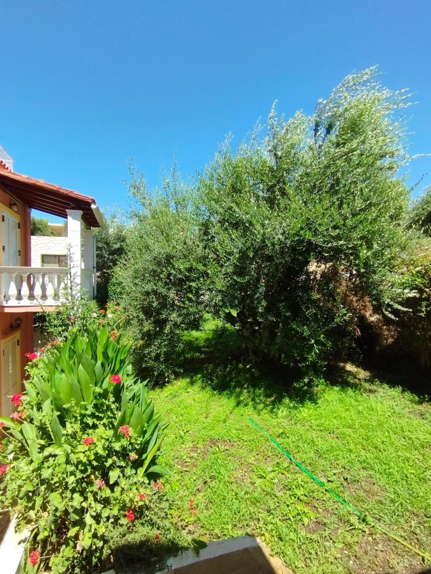 Angelos Apartment's * Arillas (Corfu)