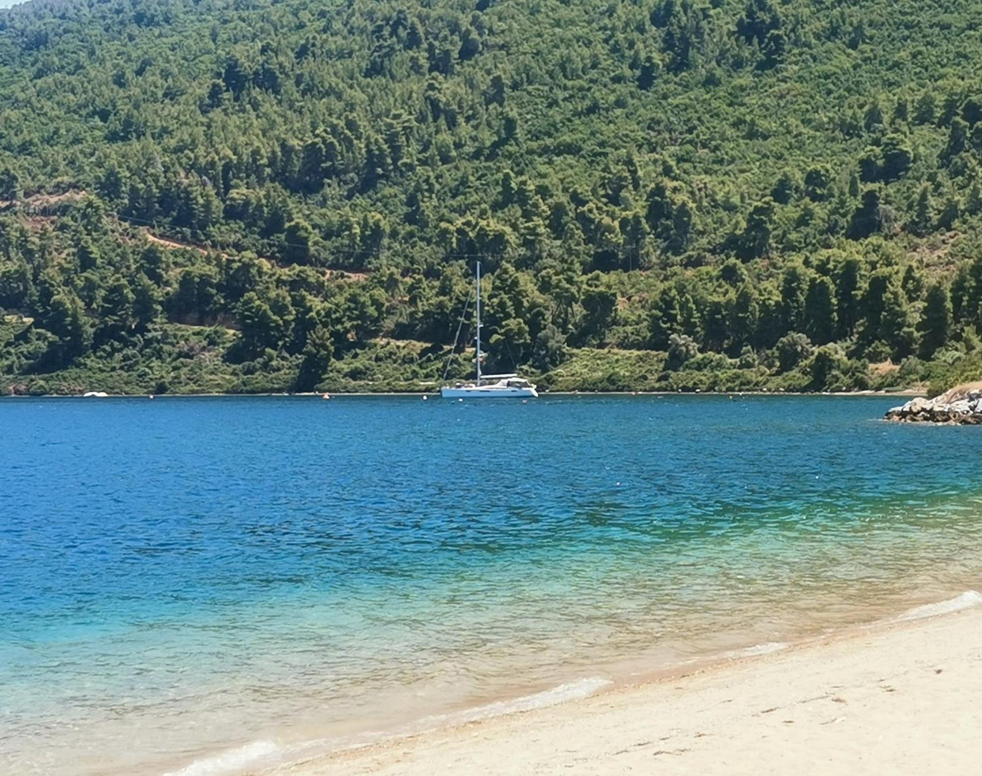 Alex Agios Georgios (Istiaia-Aidipsos)