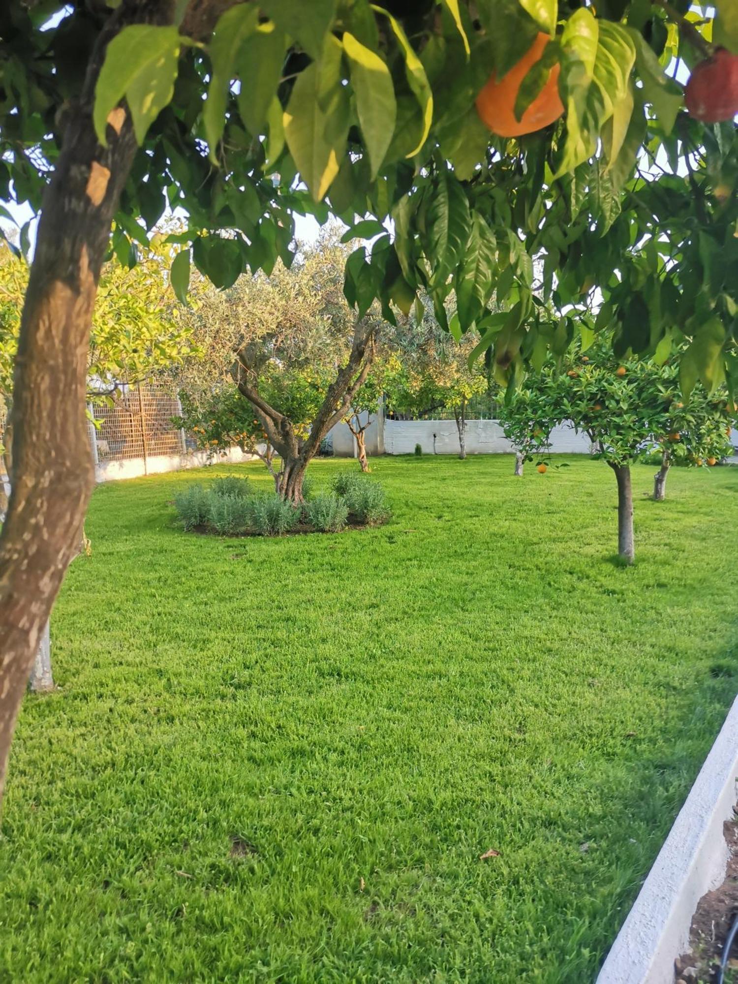 Villa Alex